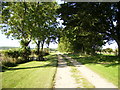 Dike Road (Track) near Haugh Rigg in YO18 8JQ