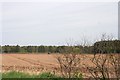 Fields by New Forebank in DD9 6TW