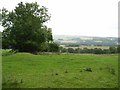 Field above Lyndhurst, near Wark in NE48 3AD
