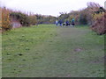 Pagham Dog Walkers in PO21 4NX