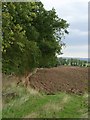 Freshly ploughed field, Rye Hill, Walwick in NE46 4BN