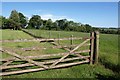 Gate and fence, Pylemore Farm in EX16 9RF