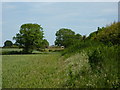 Field edge, hedge and distant farm, Hardstoft in S44 5RL