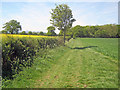 Path to woodland near Porter's Ashbed in WR8 9BN