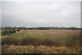 Farmland north of The Brocks in Longhirst