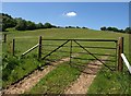 Gate into field, Emmerford Cross in EX16 7RP