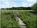 Footbridge at the parish boundary in GU6 8JJ