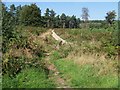 Footpath on Cannock Chase Near Slitting Mill in WS15 2UT