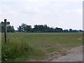 Footpath to Southolt in Bedingfield