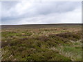 Expanse of moorland on Beeley Moor in S42 7DB