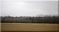 Fields and trees near the River Coquet in NE65 0TZ