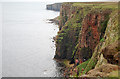 Caithness Cliffs in KW1 4YS