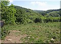 Towards the Batherm valley from Ballhill Lane in EX16 9FF