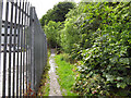Bacup: Footpath beside the River Irwell in OL13 0UY