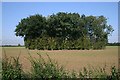 Tree-lined pond near St Margaret's Hall in NR35 1NA