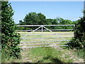 Metal gate, east of Bodle Street Green in BN27 4ZE