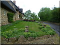 Front gardens at Brooke in Brooke