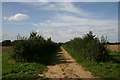 Bridleway to Rushbrook in Rushbrooke with Rougham
