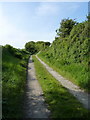 Byway near Tre-cefn-isaf Farm in Y Ferwig Community