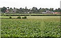 Fields and Farms near Ruddington in NG11 6LQ