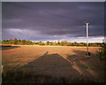 Wheat field, Langley Farm in RG20 8SD