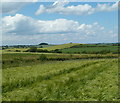 Barley field and farmland between Stanley and Tibshelf in DE55 5NQ