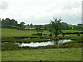 Small Pond Near Balgray Reservoir in G77 6PG