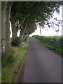 Country Road Near Langton Bridge in G77 6PU