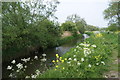 Disused Westport canal in Hambridge in TA10 0AS