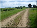 Farm track off Woodcroft Road in PE6 7HN