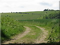 Track below West Woodhay Down in RG20 0BP