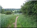 Footpath To Brocton in ST17 0NN