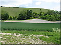 Fields by Walbury Hill in RG17 9EL