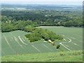 View north from the carpark on Walbury Hill in RG17 9ED