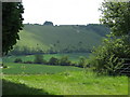 Fields under Inkpen Hill in RG17 9DN