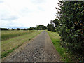On the track to Freston Grove in IP9 2PH