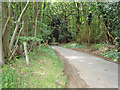 Road through woodland in IP9 2PT