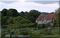 2011 : Allotments seen from John Burns Close in BA4 4NT