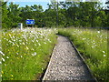 Footpath beside the motorway slip road in CA10 2BY
