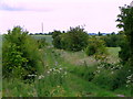 Byway near Allington in SN10 3NL