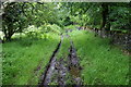 A muddy and rutted track in BB9 6PY
