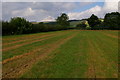 Field Near Allerston Looking North in YO18 7PG