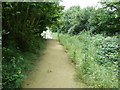 Footpath 2330 south towards The Spinney N in RH20 1BB