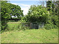 Footpath gate near Hoblane Farm in CH2 4LH