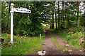 Footpath, Kilmacolm in PA13 4NY