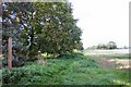 Footpath to Drinkstone Church in IP30 9TR