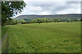 A field of cows near Clitheroe in BB7 1FU