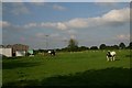 Field at Drinkstone Lodge in IP30 9TR