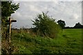 Footpath junction at Drinkstone Green in Drinkstone Green
