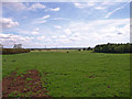 Field at Chapel Farm in PA6 7AZ